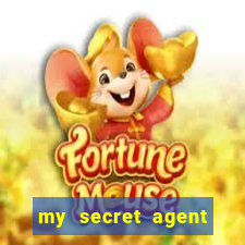 my secret agent husband legendado